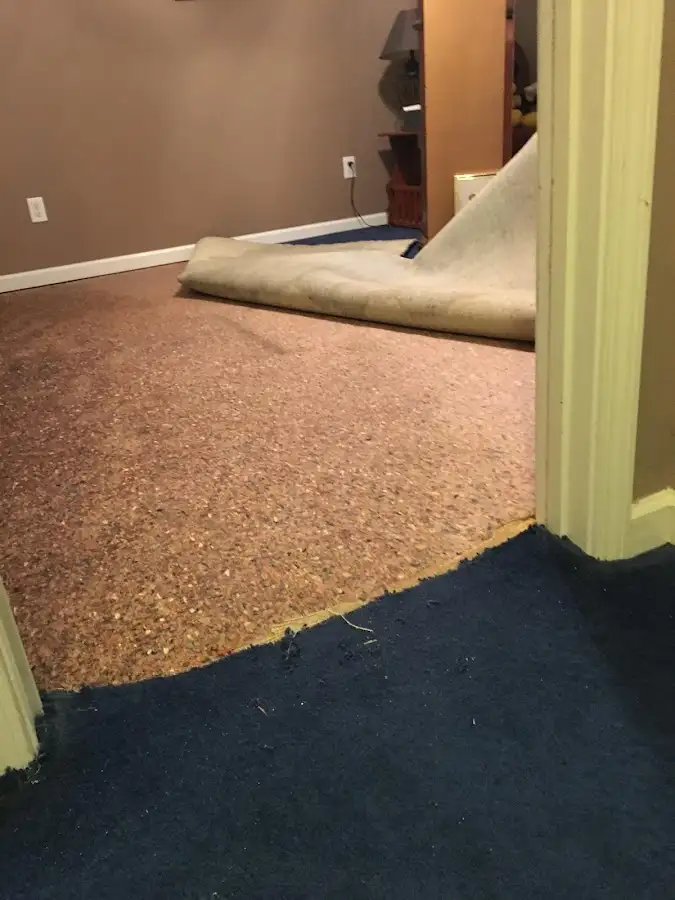 Carpet pad removal revealing water damage during Drying & Dehumidification in Wellesley