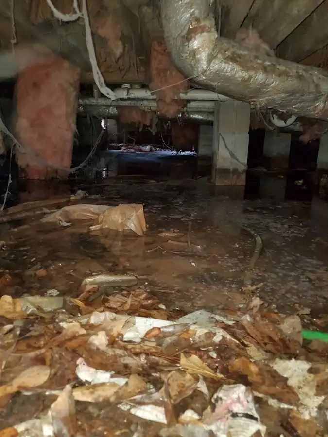 Crawl space flood assessment for Leak Detection & Repair in Wellesley